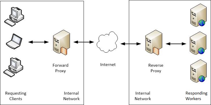 Forward and Reverse Proxy