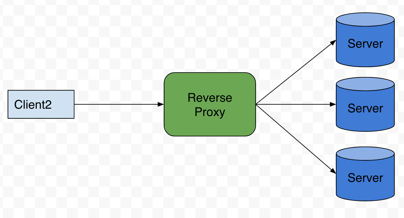 reverse proxy